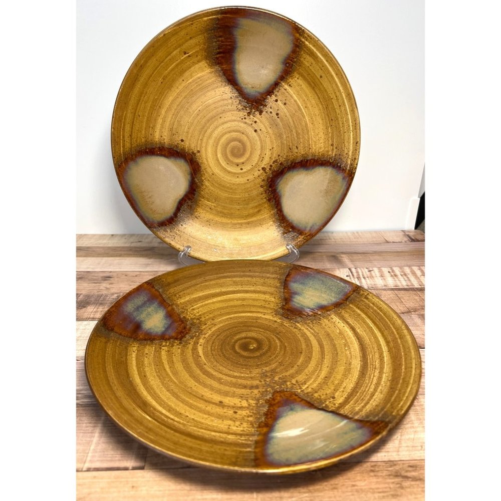 Sango Splash 4051 Brown Ceramic Dinner Plates Set Of 2 With Abstract Glaze Desig